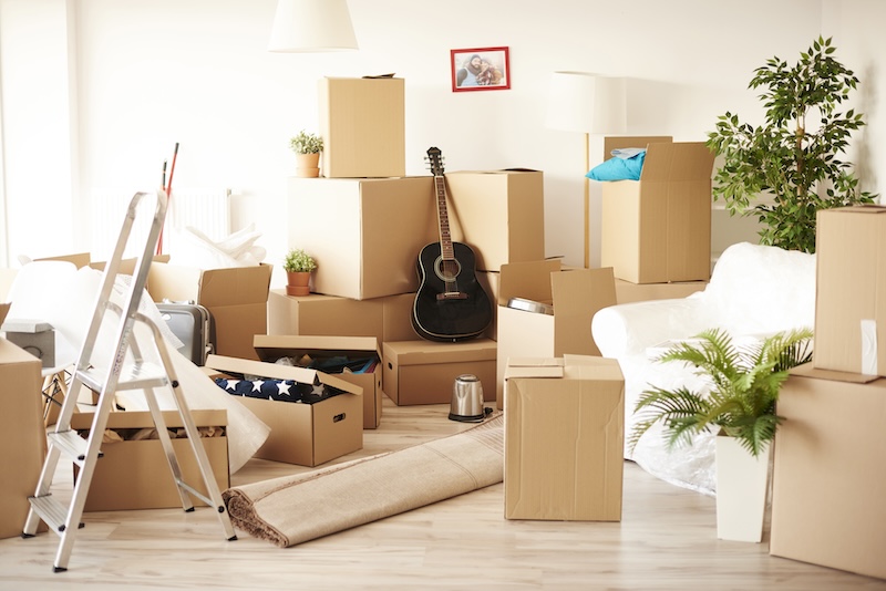 Moving & Relocation
