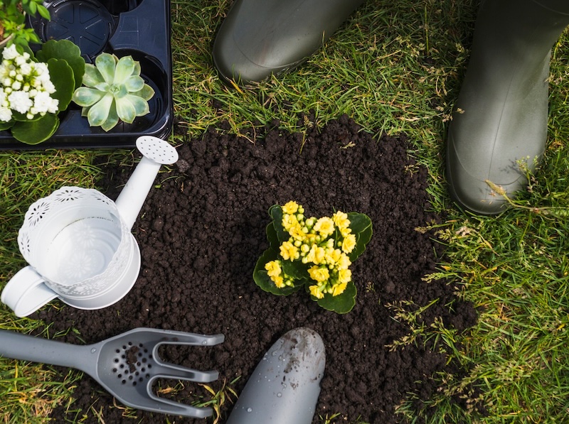 Landscaping & Garden